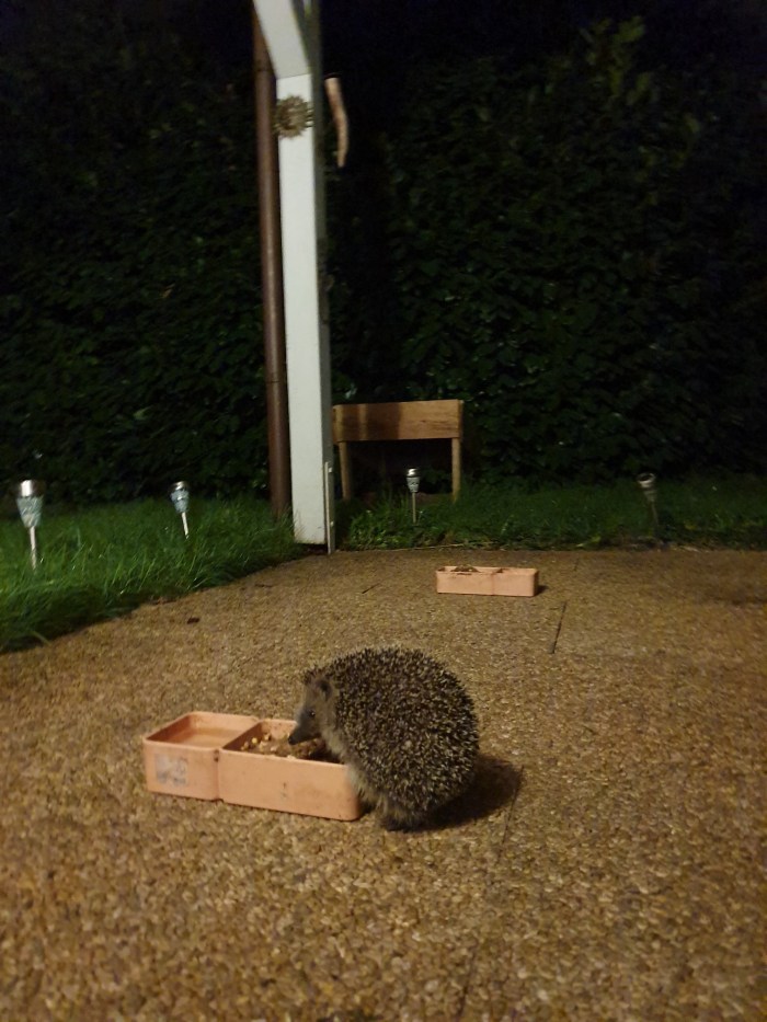 20191117_183310.jpg image