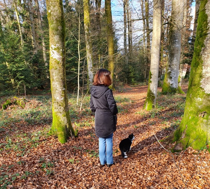 20200119_134534.jpg image