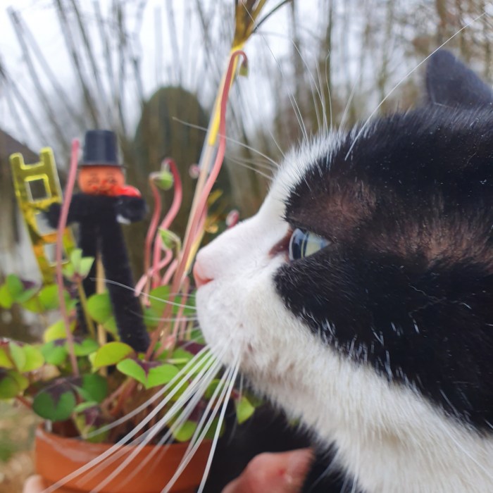 IMG_20200101_143633_165.jpg image