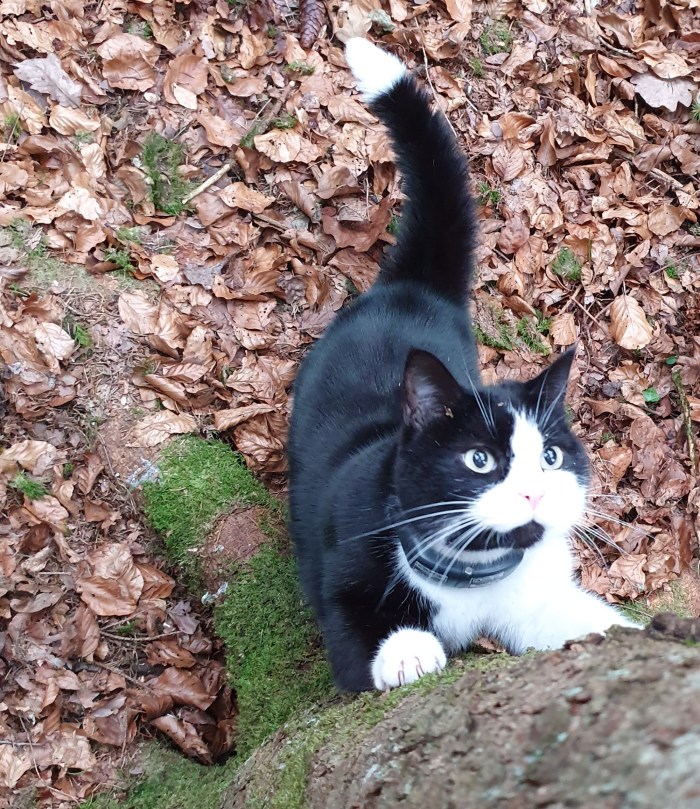 IMG_20200111_152548_414.jpg image