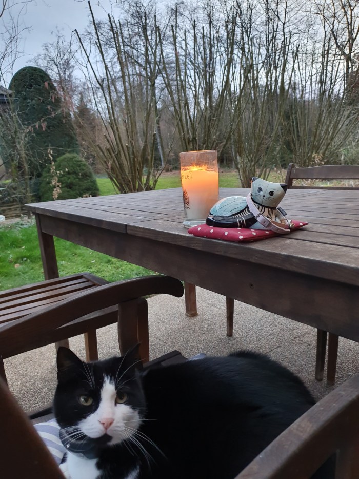 20200223_175657.jpg image