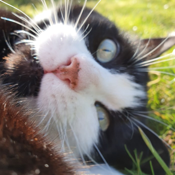 IMG_20200215_141914_783.jpg image