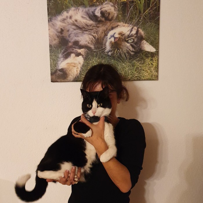 IMG_20200218_212143_409.jpg image