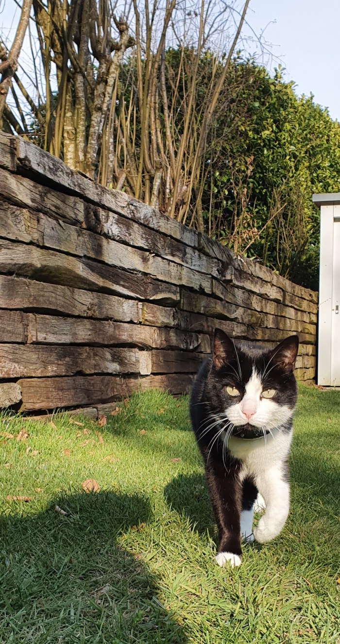 IMG_20200328_084255_463.jpg image