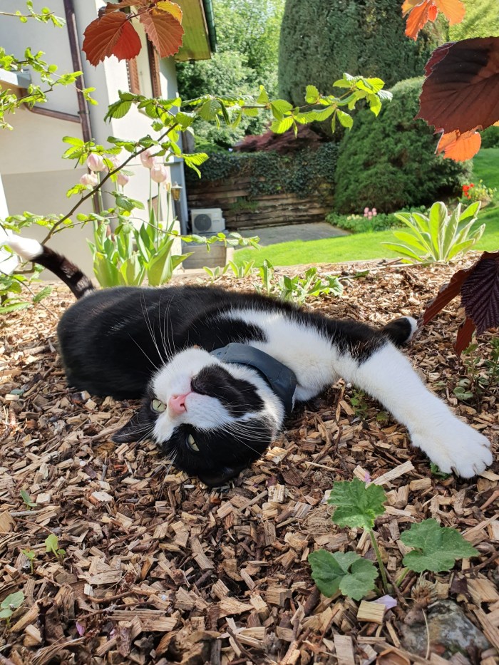 20200425_162355.jpg image