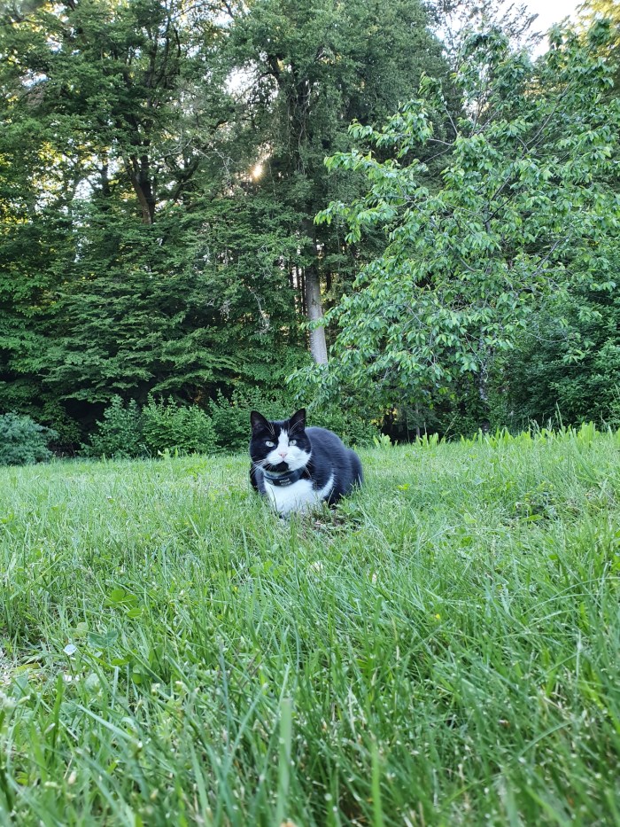 20200518_182842.jpg image