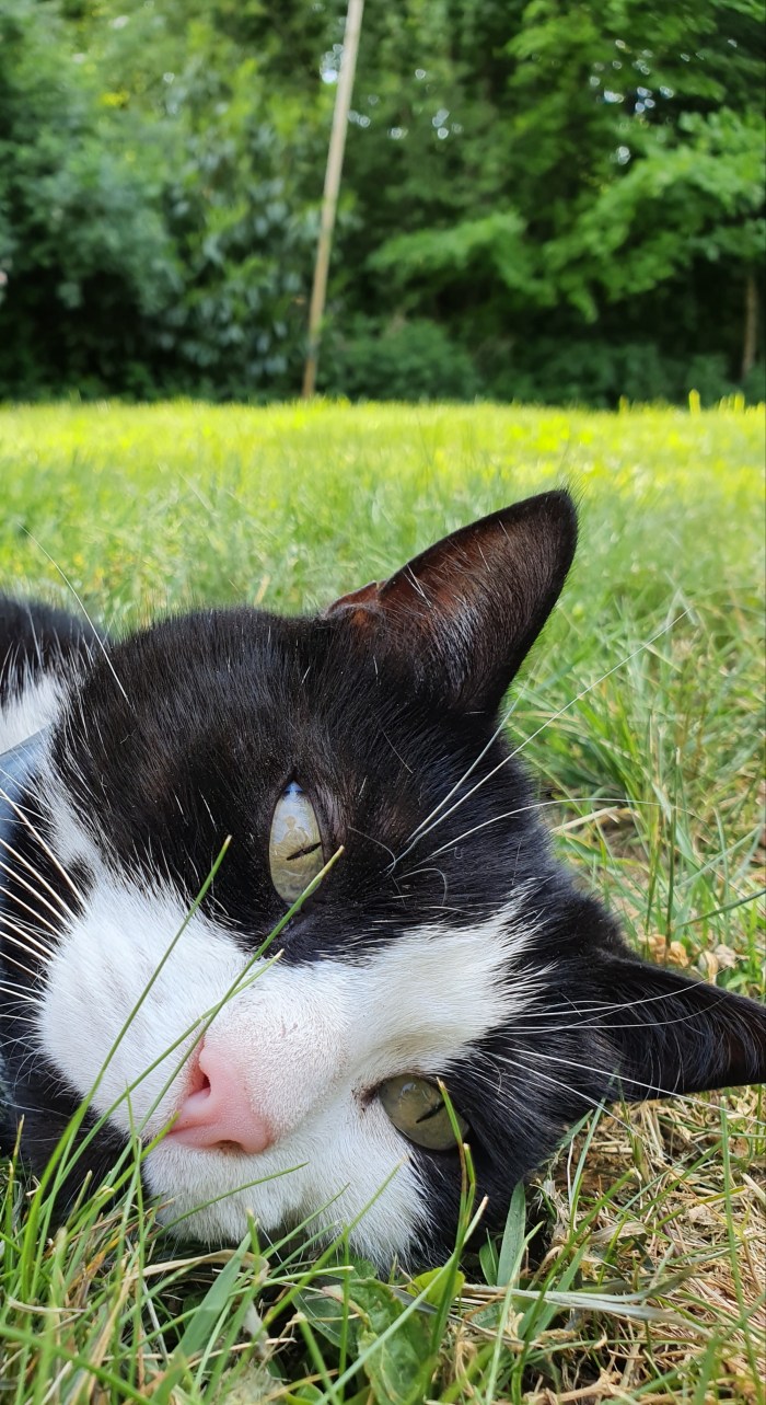 20200527_143023.jpg image