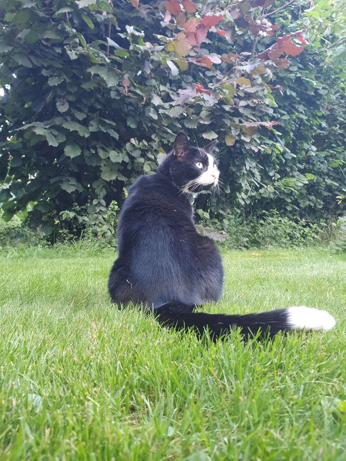 20200705_192158.jpg image