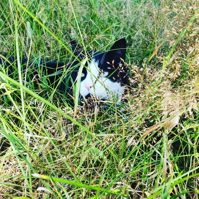 IMG_20200725_152943_927.jpg image