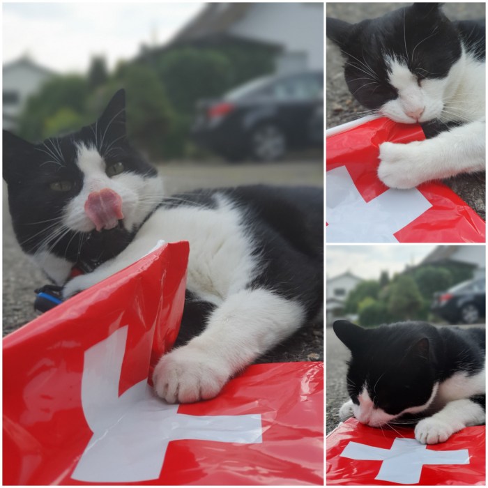 20200801_121931.jpg image