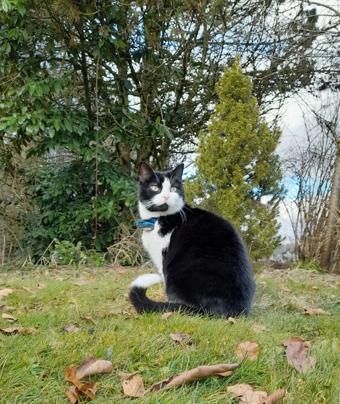 20220130_141816.jpg image